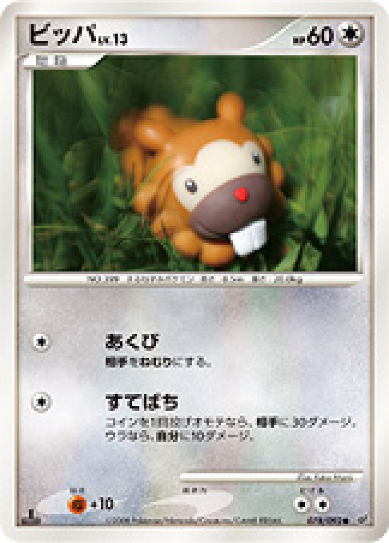 画像1: ビッパ (1)
