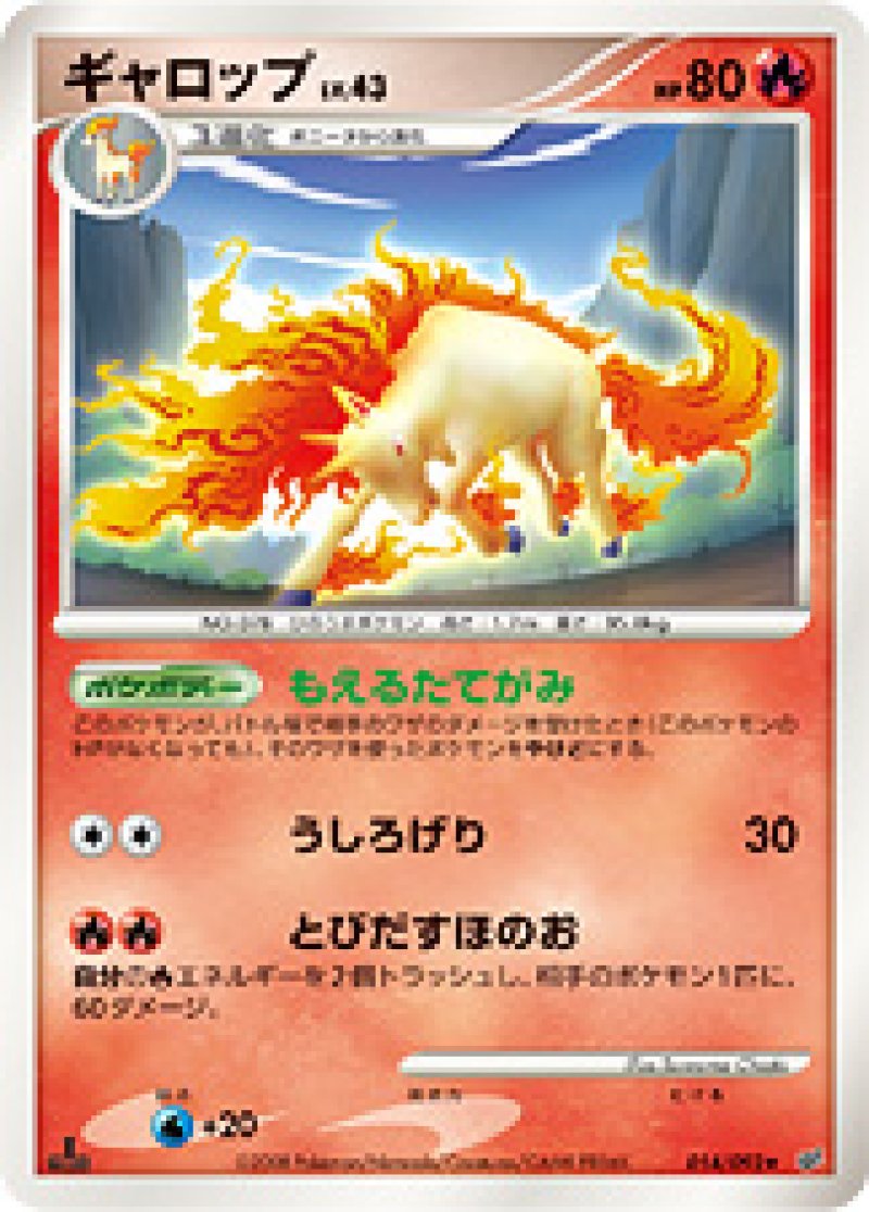 画像1: ギャロップ (1)