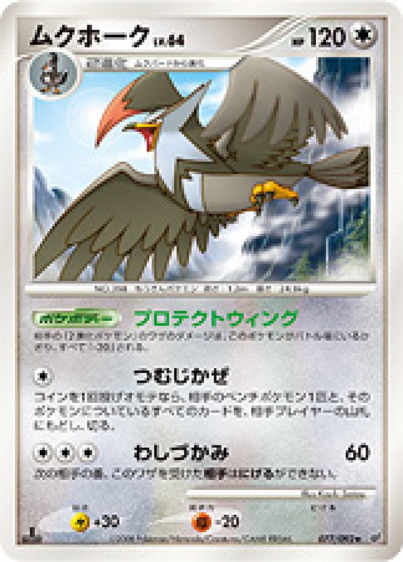 画像1: ムクホーク (1)