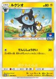 キチキギス AR(ポケモンカードsv6 変幻の仮面)