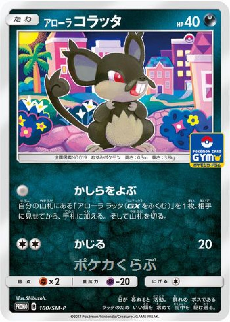 画像1: アローラコラッタ（プロモ） (1)