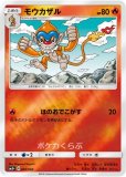 ヒコザル