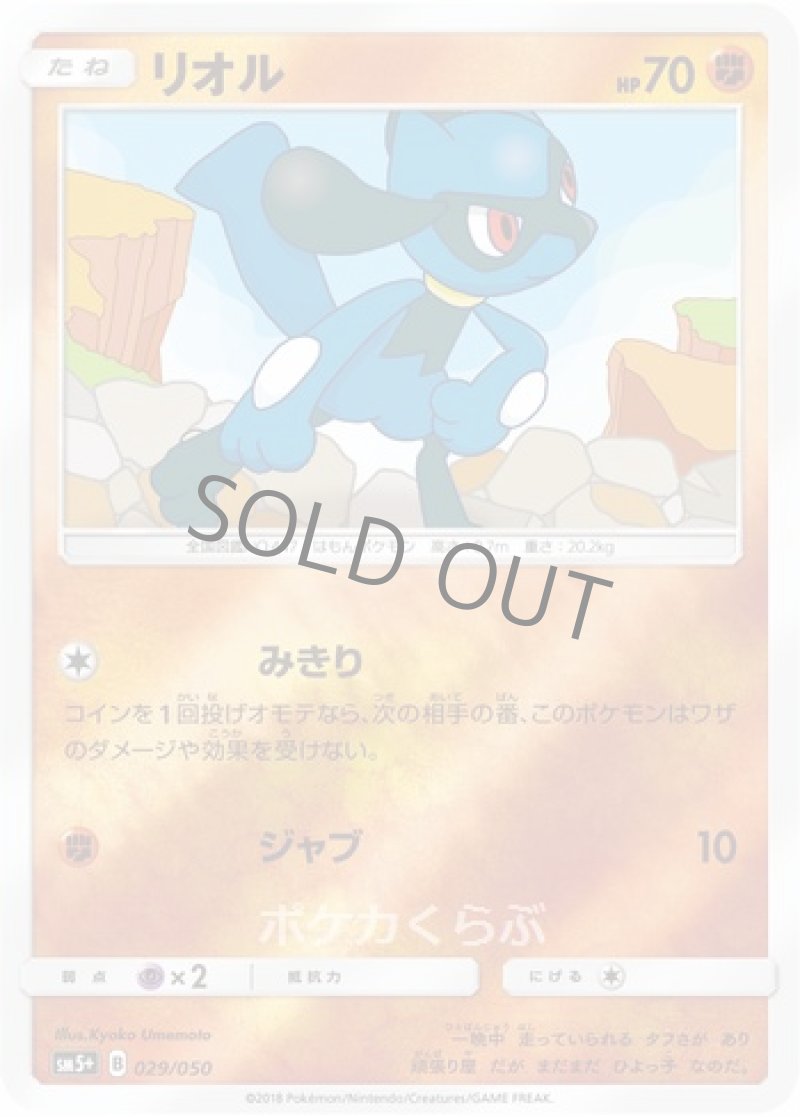 画像1: リオル (1)