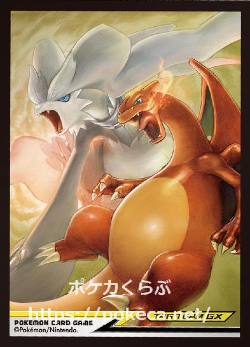 ポケモン - タッグオールスターズ　デッキシールドリザードン ポケモン ポケモンカード スリーブ デッキシールド リザードン 4