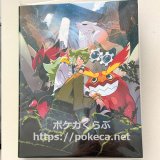 カードファイル フウロ|ポケモンカード通信販売専門店 ポケカくらぶ