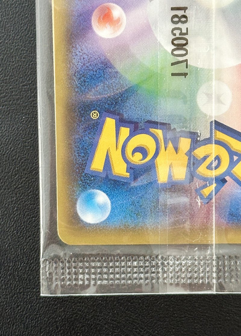 画像9: アローラロコン＆ロコンポンチョを着たピカチュウ セット（プロモ・キラ）未開封 (9)