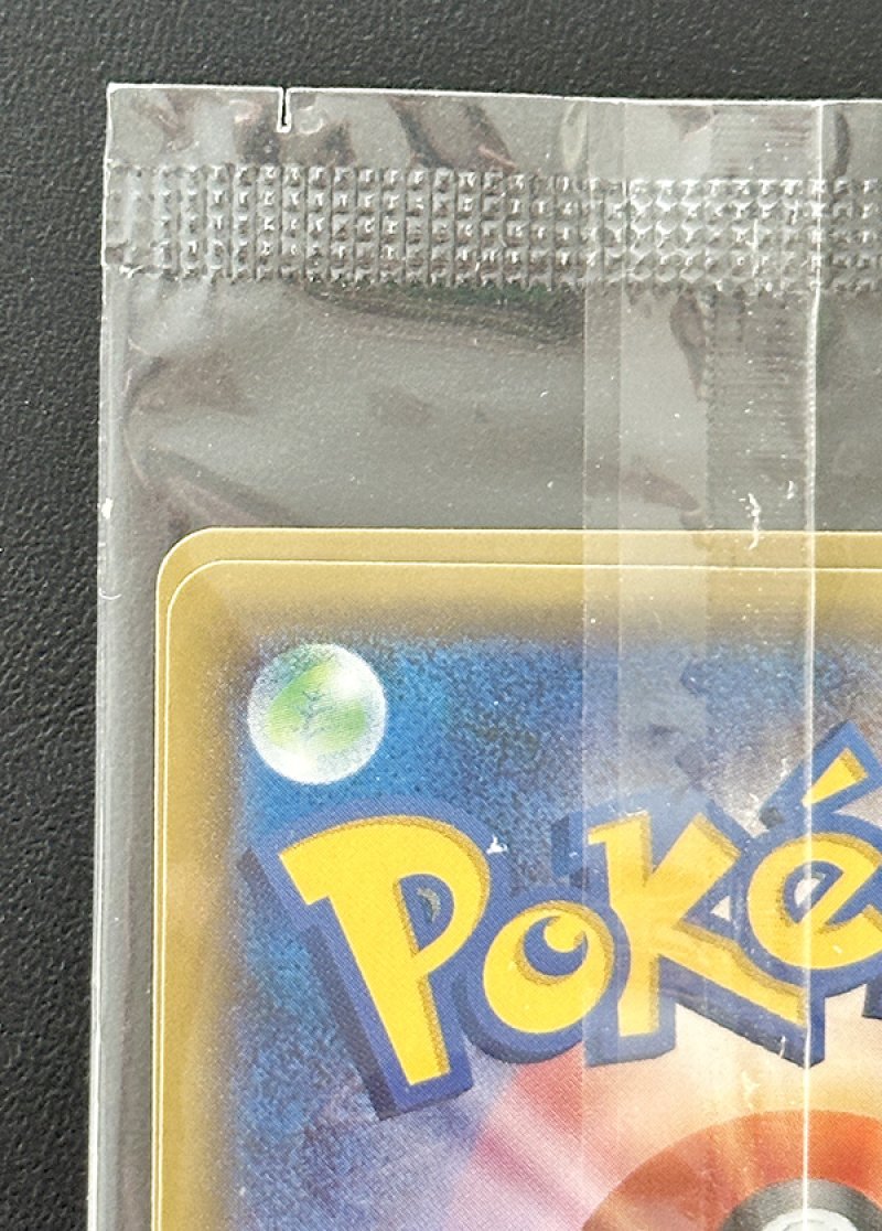 画像7: アローラロコン＆ロコンポンチョを着たピカチュウ セット（プロモ・キラ）未開封 (7)