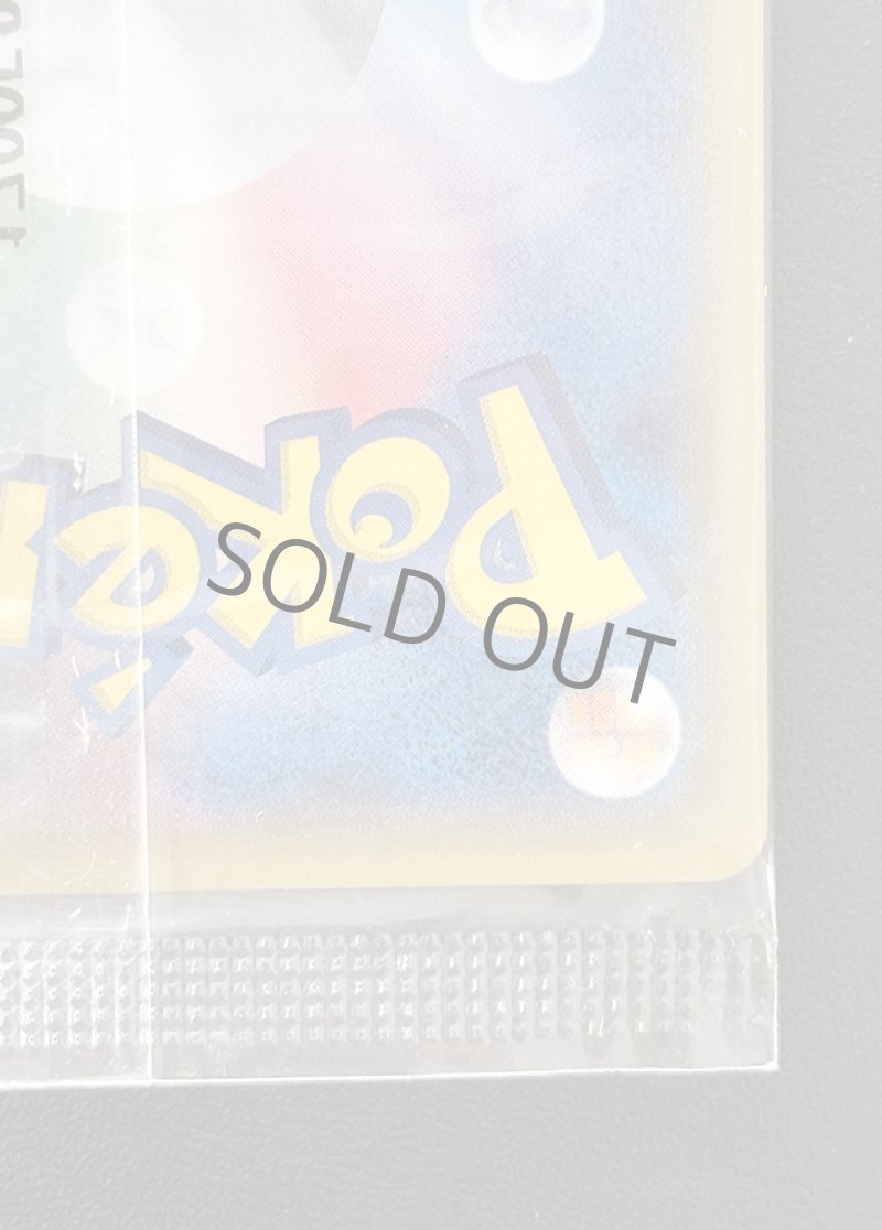 画像10: アローラロコン＆ロコンポンチョを着たピカチュウ セット（プロモ・キラ）未開封 (10)