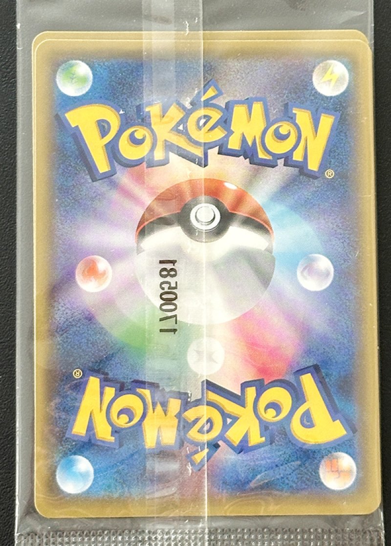 画像6: アローラロコン＆ロコンポンチョを着たピカチュウ セット（プロモ・キラ）未開封 (6)