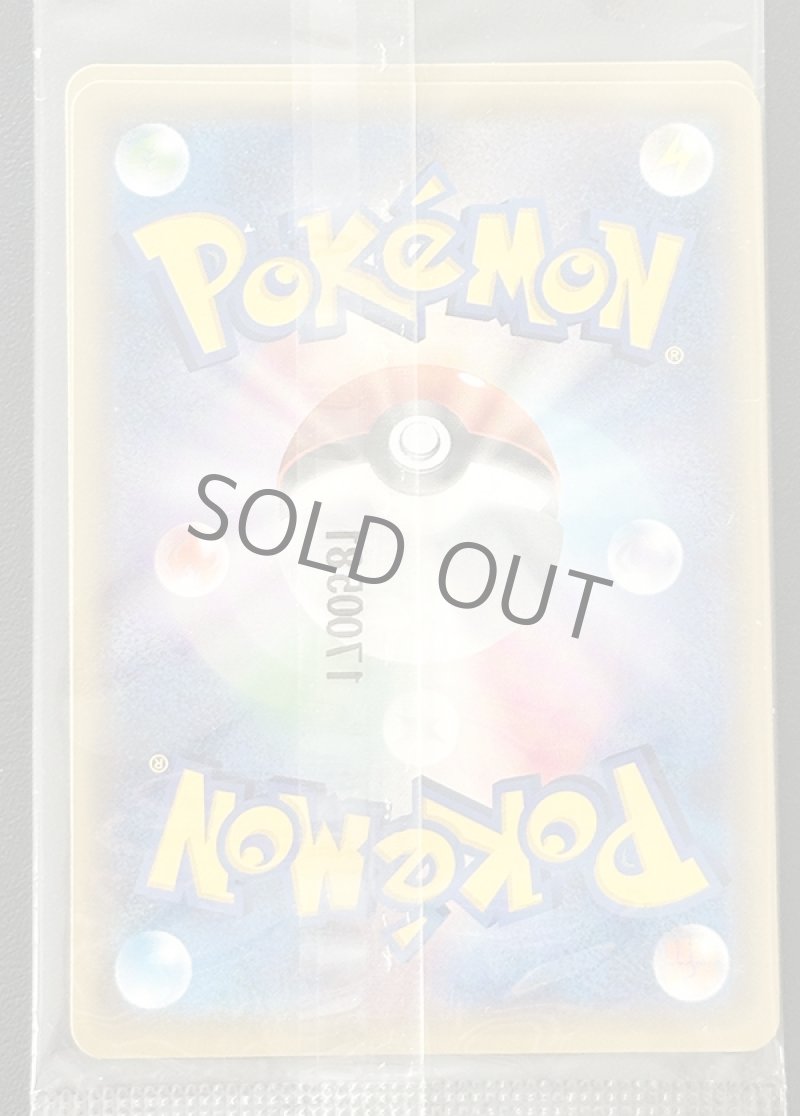 画像6: アローラロコン＆ロコンポンチョを着たピカチュウ セット（プロモ・キラ）未開封 (6)