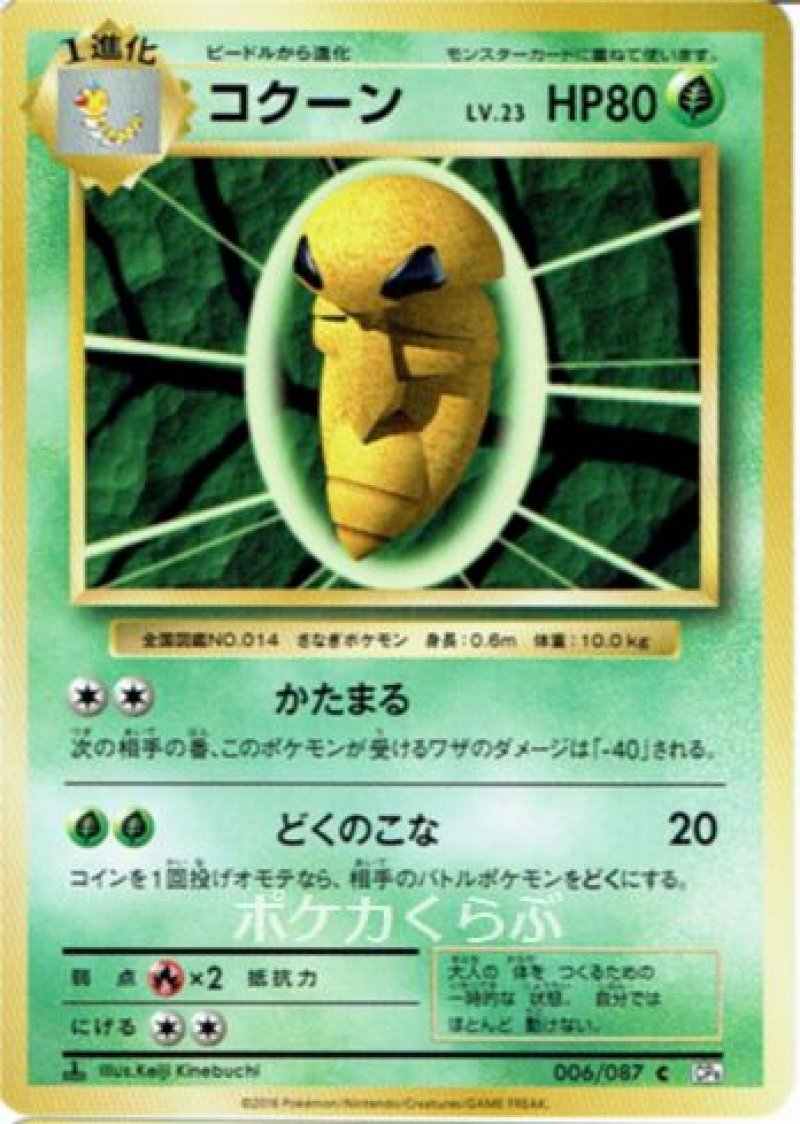 画像1: コクーン (1)