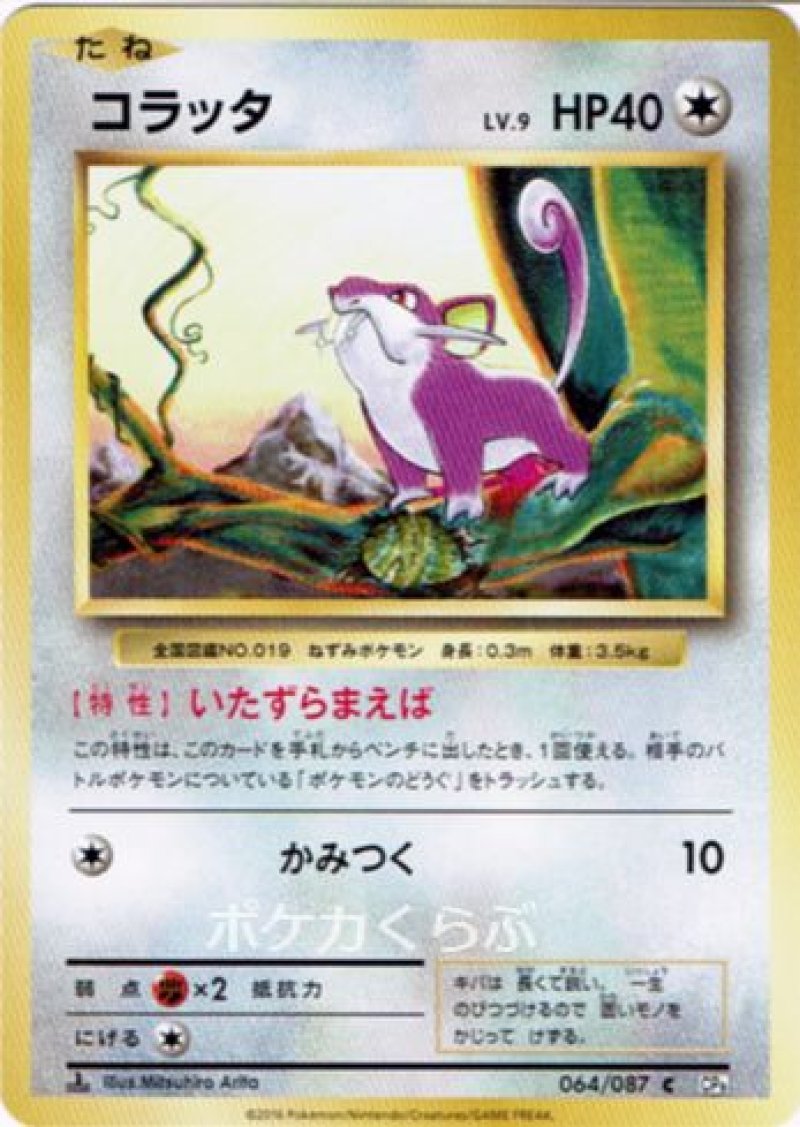 画像1: コラッタ (1)