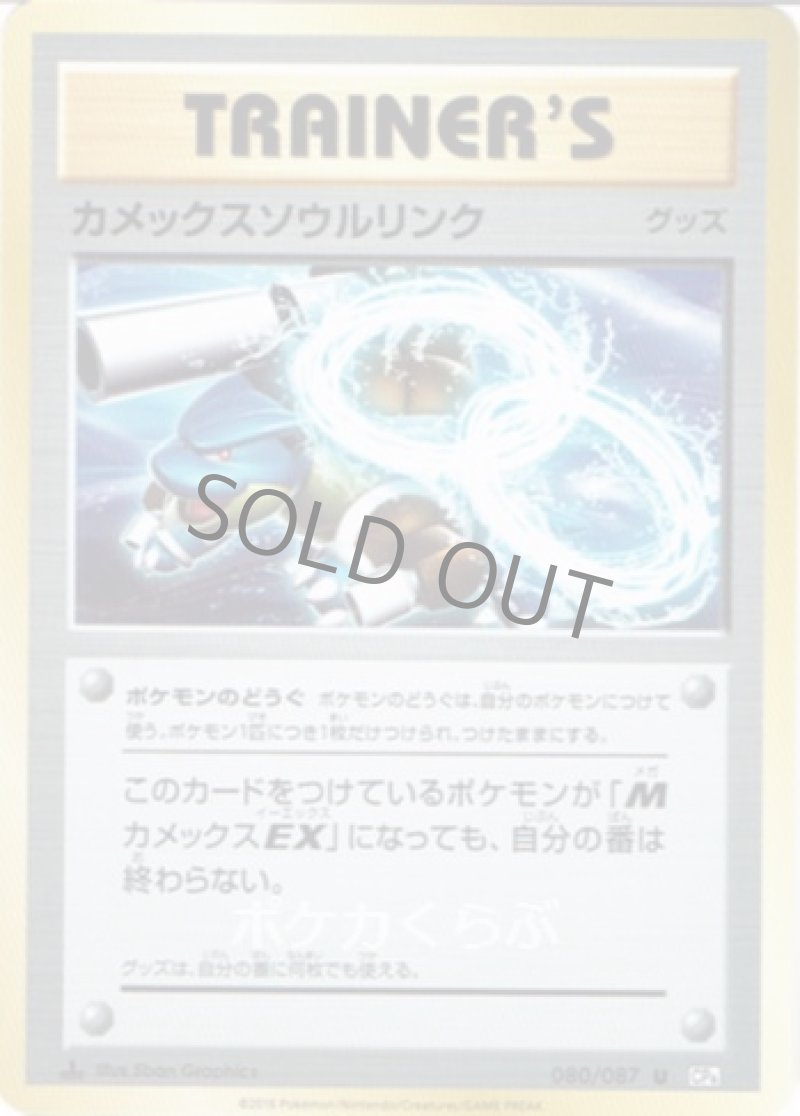 画像1: カメックスソウルリンク (1)