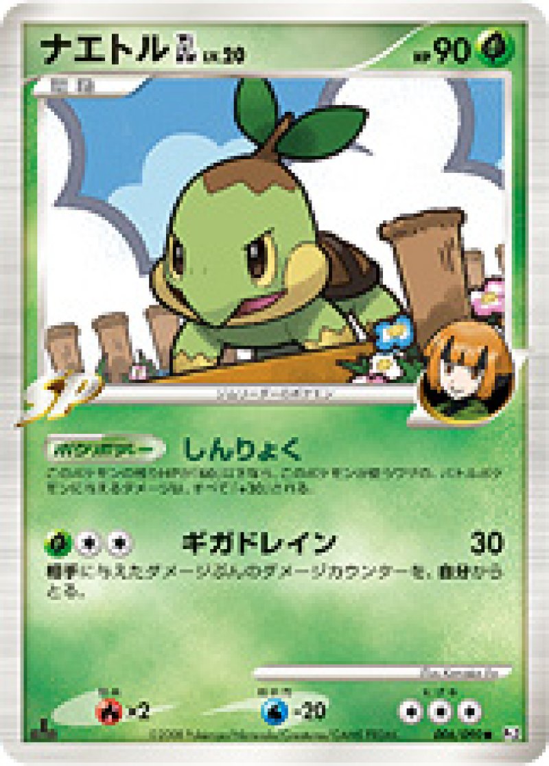 画像1: ナエトルGL (1)