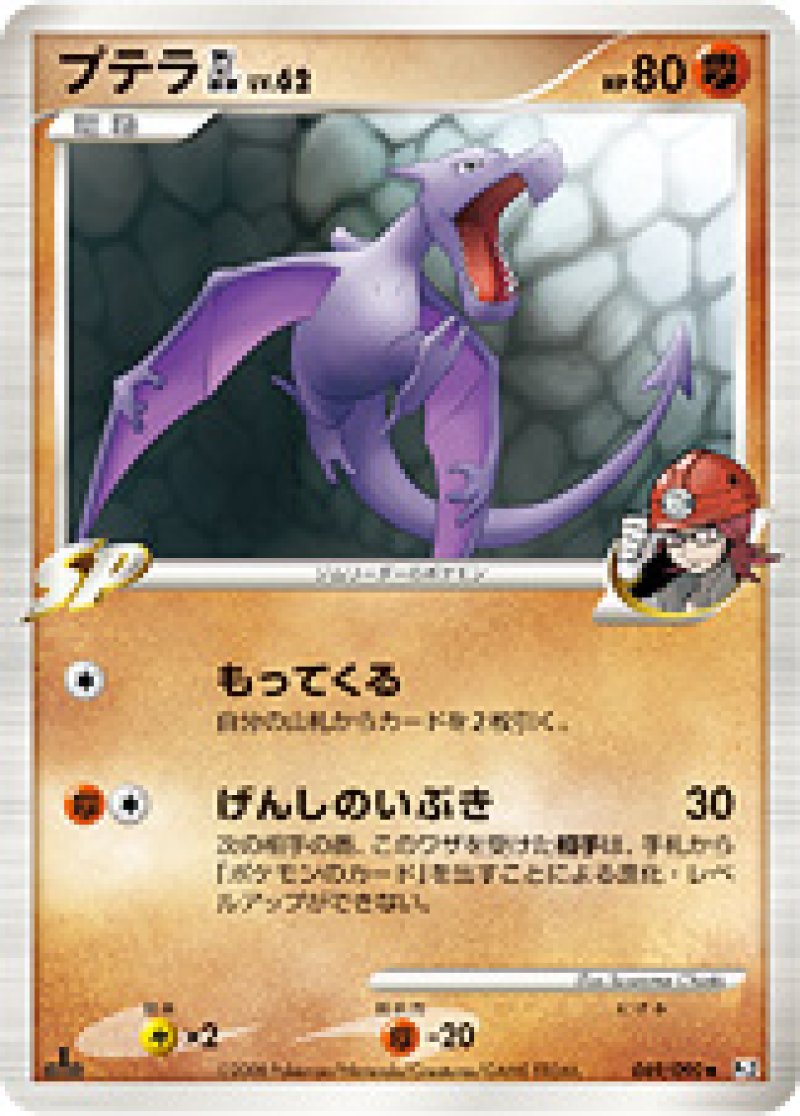 画像1: プテラGL (1)