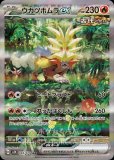 SAR ソウブレイズex 販売 | [SV8a] ハイクラスパック テラスタル