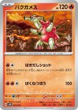ポケモン|古代のコライドンex|ポケカくらぶ