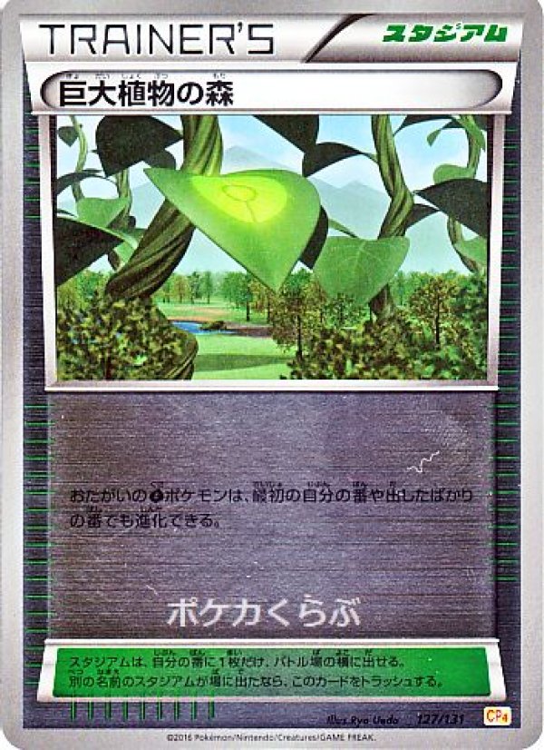 画像1: 巨大植物の森(ミラー) (1)