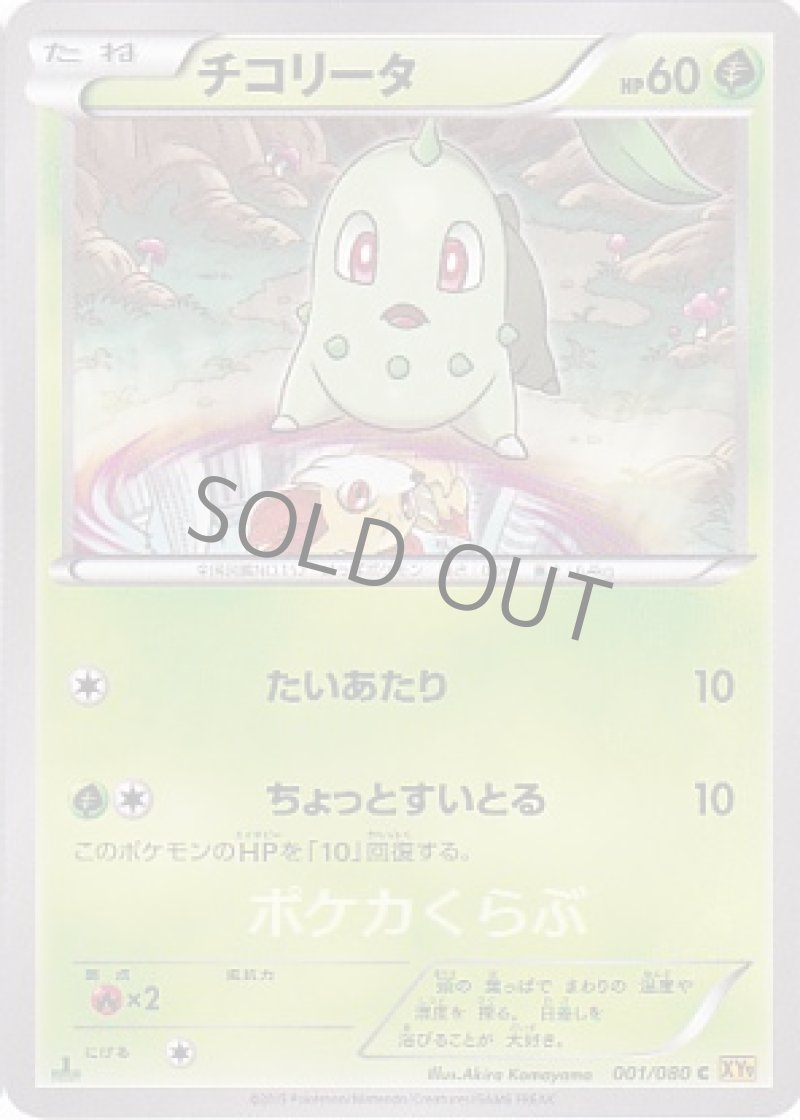 画像1: チコリータ (1)