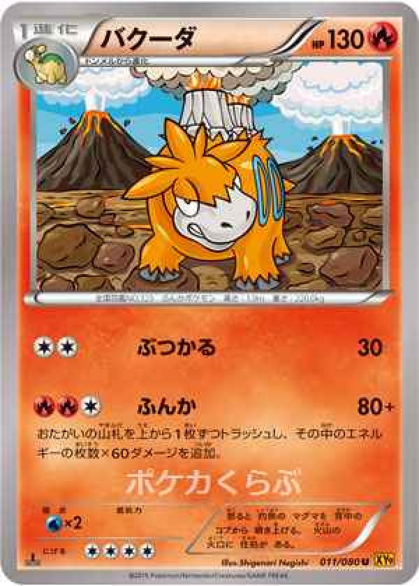 画像1: バクーダ (1)
