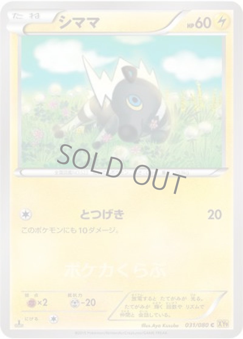 画像1: シママ (1)