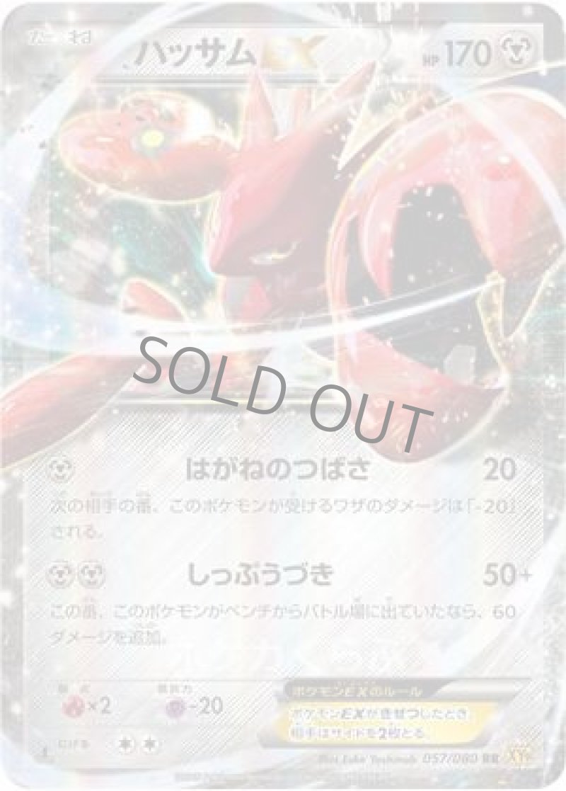 画像1: ハッサムEX (1)