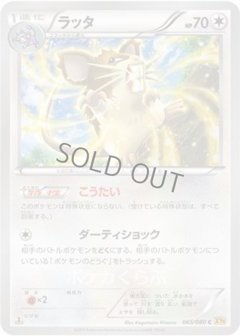 画像1: ラッタ (1)