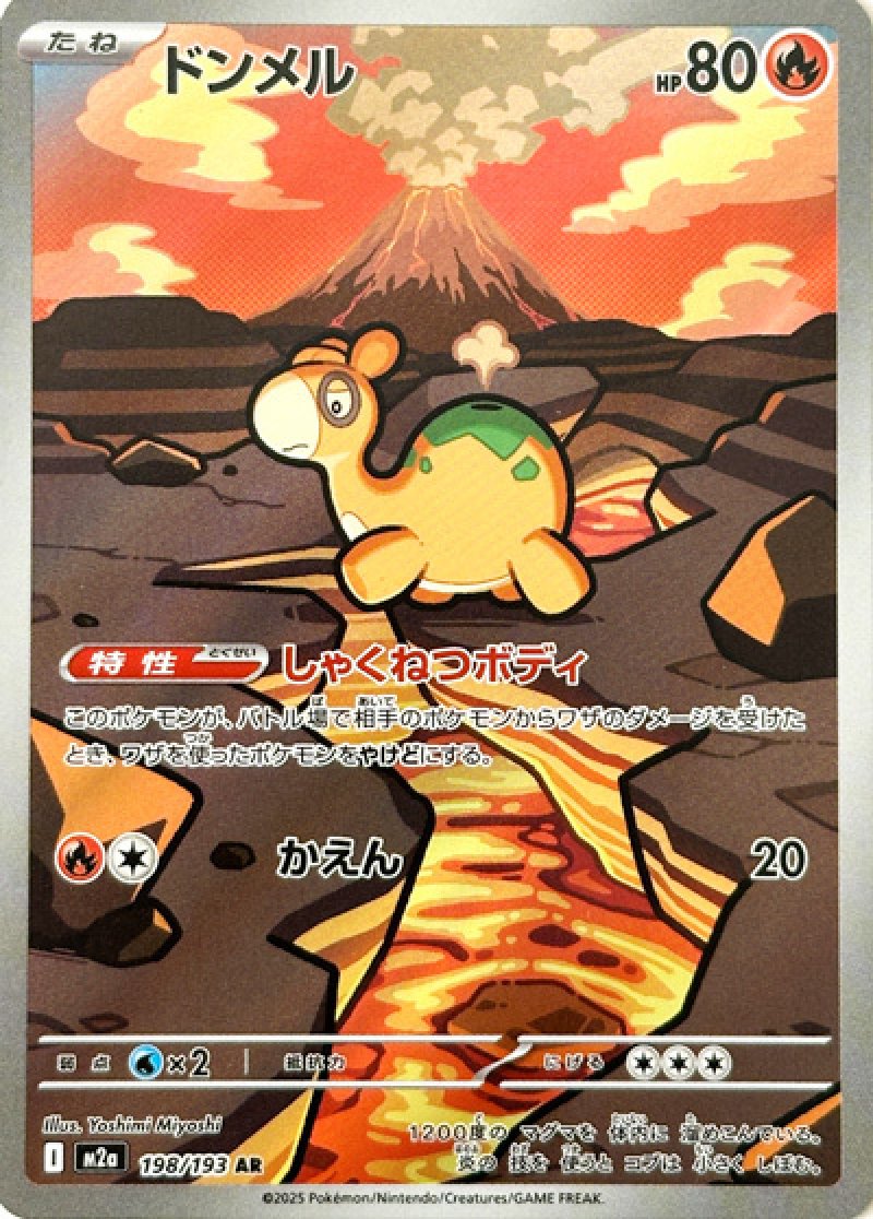 ドンメル　AR（MEGAドリームex）