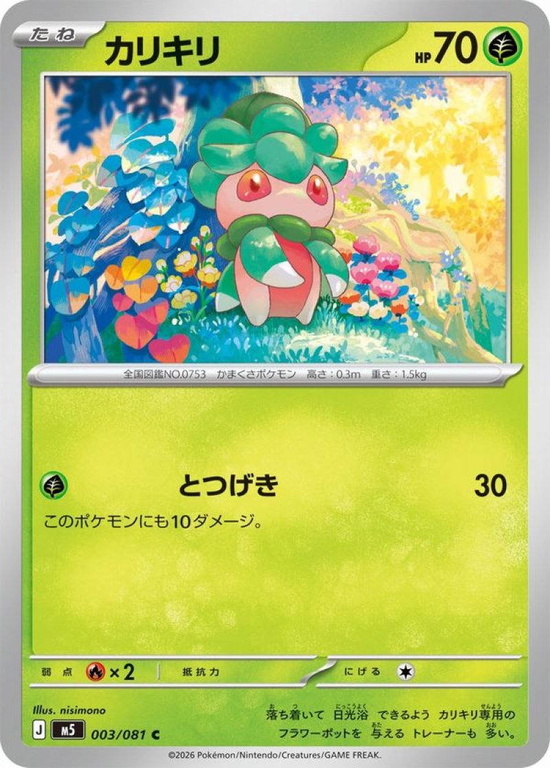 画像1: カリキリ (1)