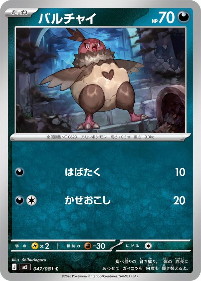 画像1: バルチャイ (1)