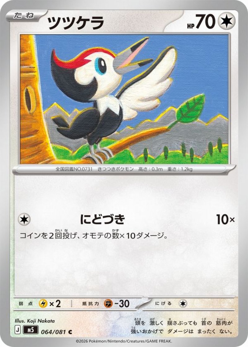 画像1: ツツケラ (1)