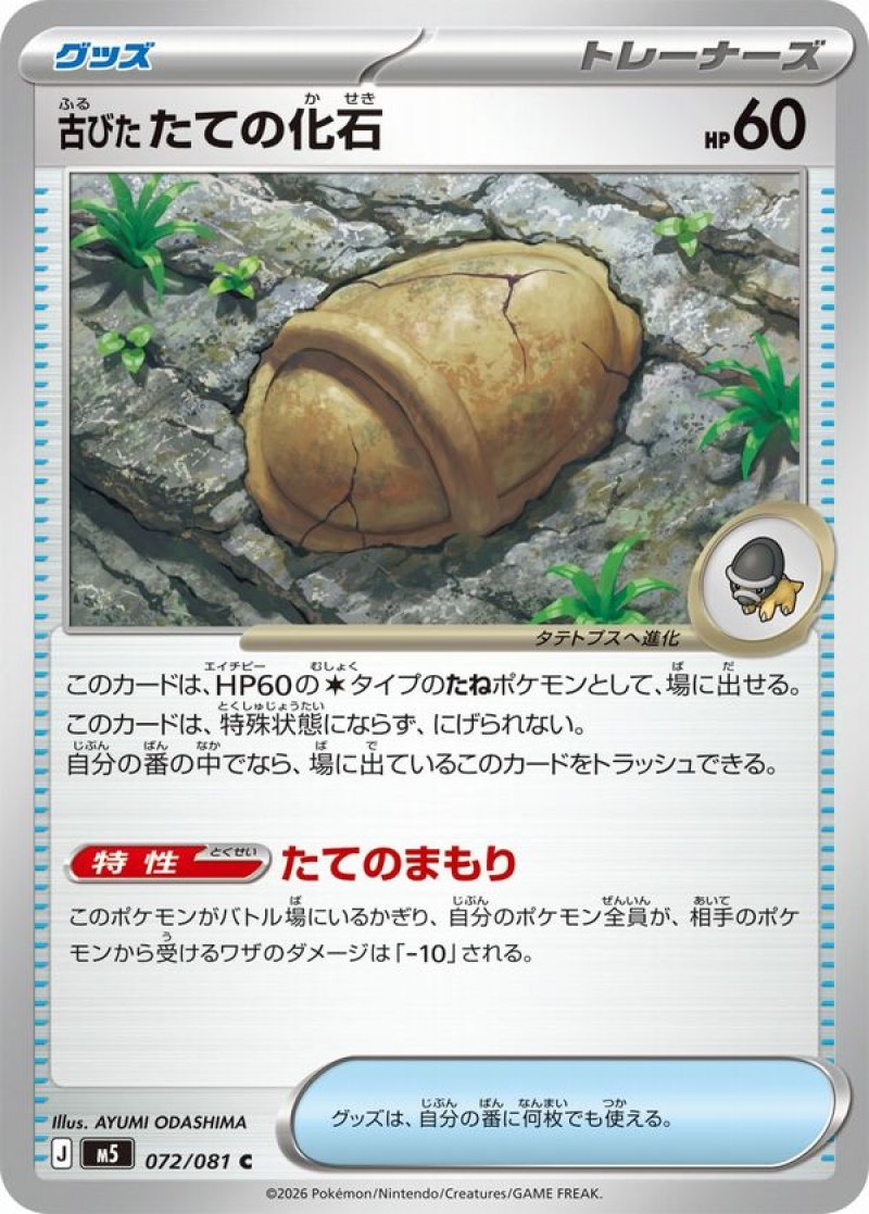 画像1: 古びたたての化石 (1)