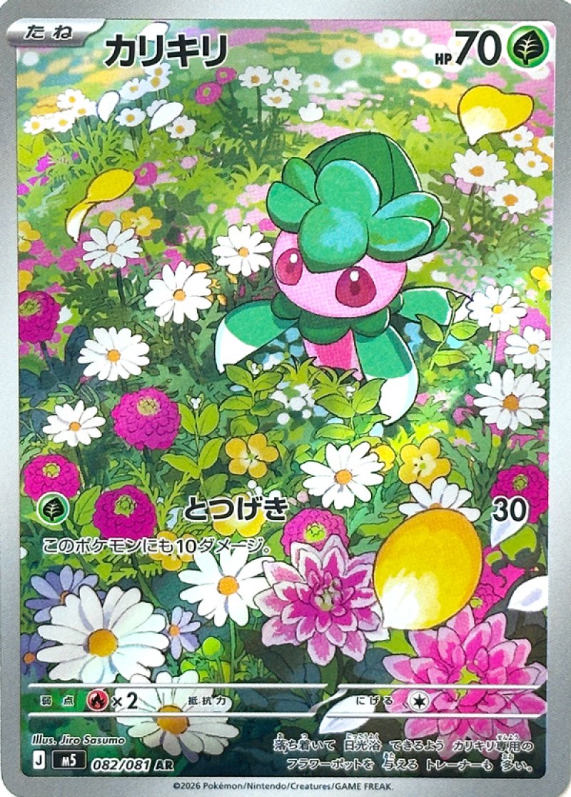 画像1: カリキリ　AR (1)