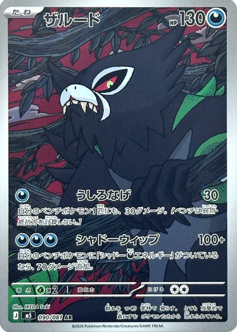 画像1: ザルード　AR (1)