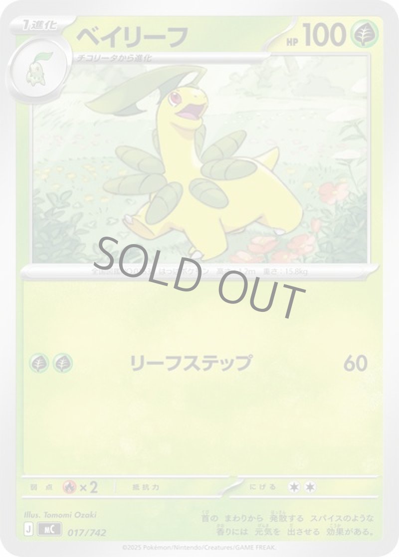 ベイリーフ