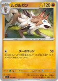 ルガルガン AR(ポケモンカード m6a 30th CELEBRATION)