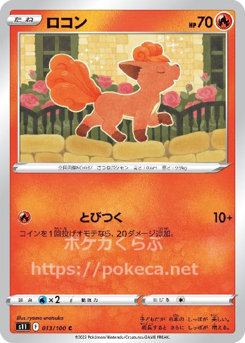 ロコン
