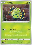 イトマル