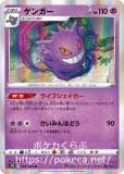 希少　PSA10 ゲンガー 027 人気イラスト PSA10】ゲンガー(マスターボール柄/ミラー仕様) R 094/165の通販