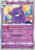 ポケモンカードダス　まとめ売り　ゲンガー混み　75種類　ダブり合わせて104枚 70726f647563742f73346164312f30