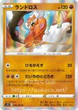 ボルトロス AR ランドロス AR トルネロス AR 30枚セット SV11BW ☆ポケモンカード新作・再販速報 on X: 