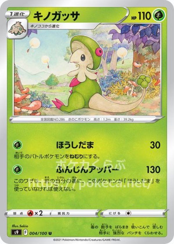 キノガッサ ポケモンカードs9 スターバース