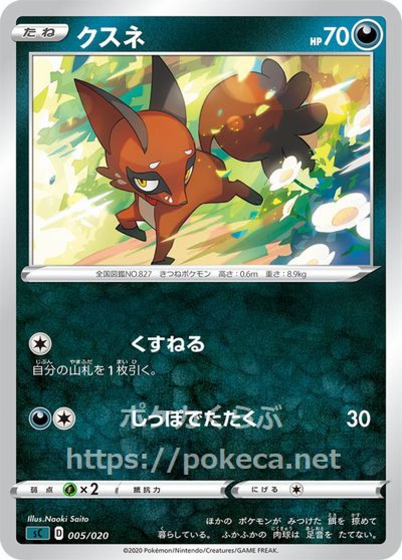 ポケモン - わたゴン ゼニガメ