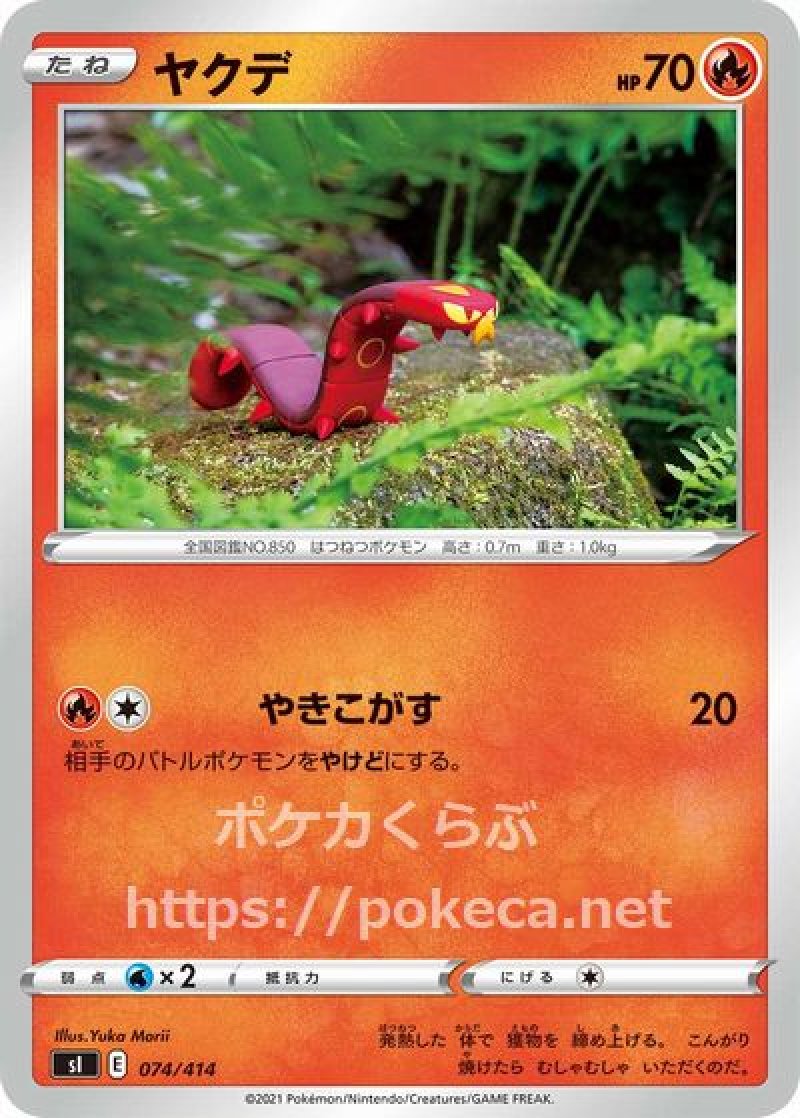 画像1: ヤクデ (1)