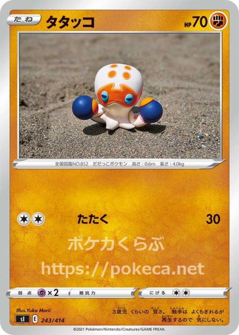 画像1: タタッコ (1)