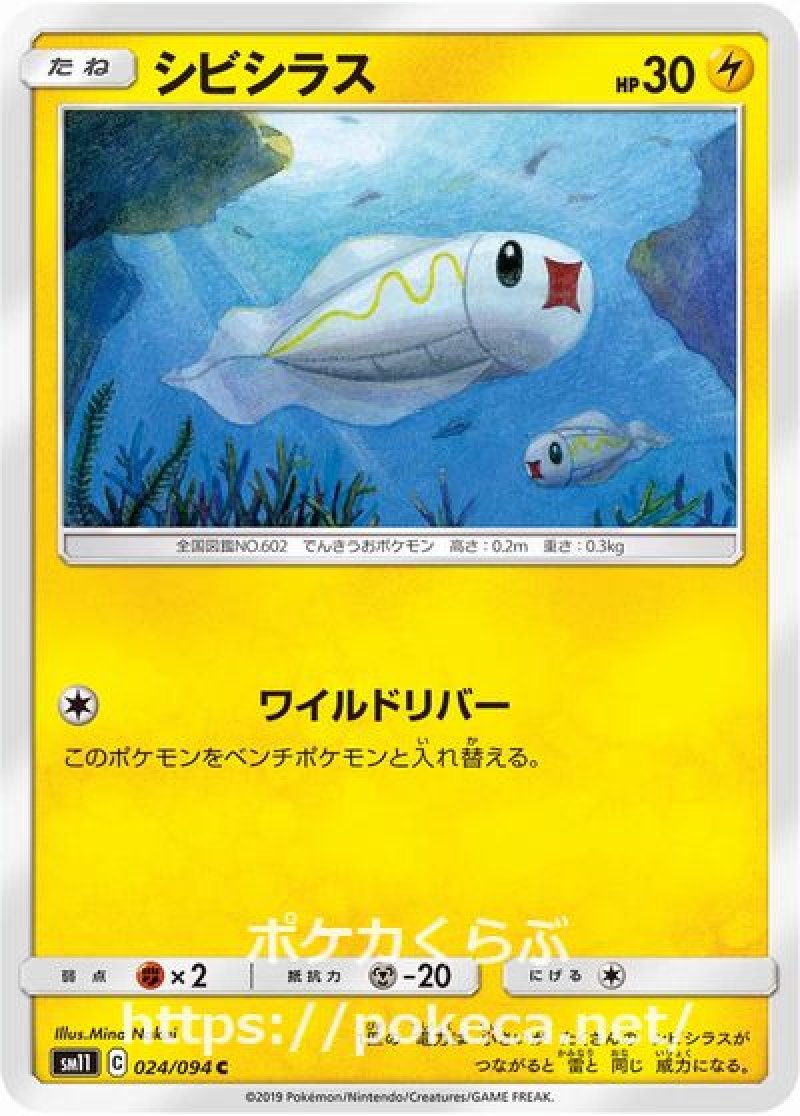 シビシラス（ワイルドリバー）