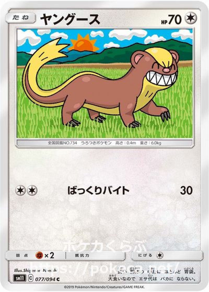 ヤングース