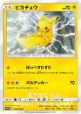 メガトウキョーのピカチュウ