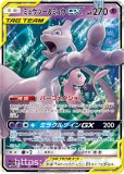 RR|GXタッグオールスターズ|ポケカくらぶ