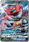 ガオガエンex SR(ポケモンカードsv5M サイバージャッジ)